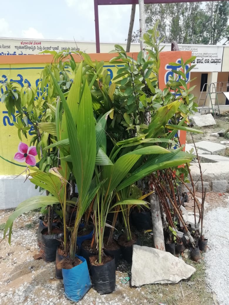 https://1ngo.sgp1.digitaloceanspaces.com/media/arohana/WhatsApp Image 2024-08-24 at 5.09.58 PM.jpeg